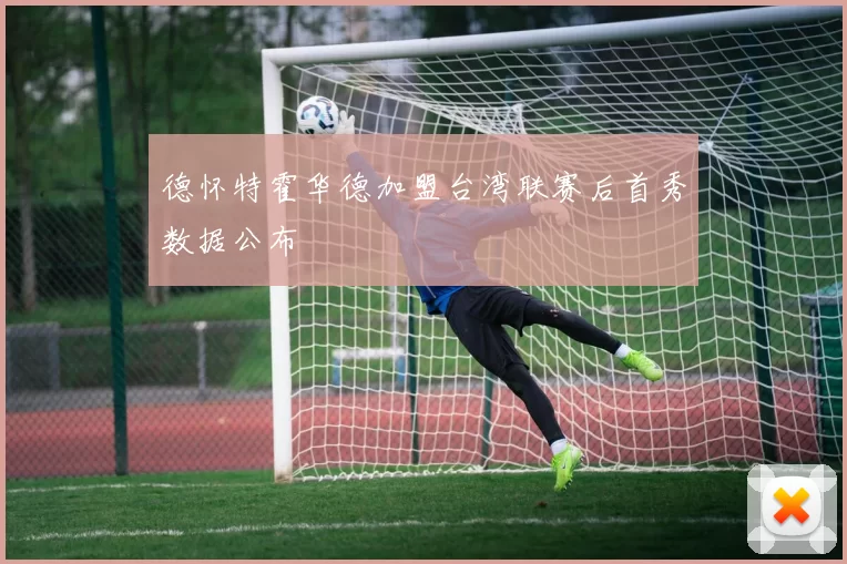 德怀特霍华德加盟台湾联赛后首秀数据公布